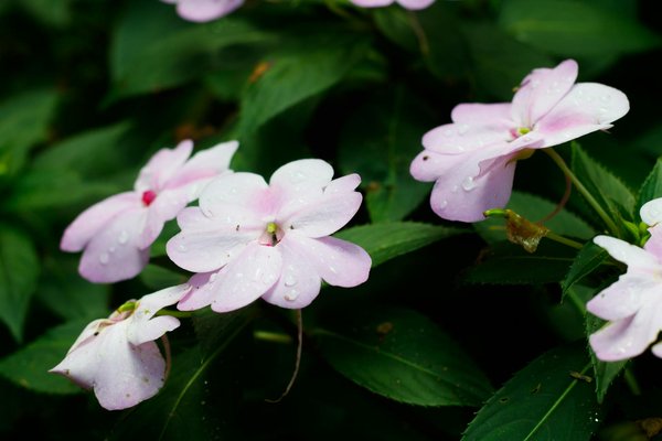 Wie kann man mit Beleuchtung die Stimmung eines Raumes verÃ¤ndern?